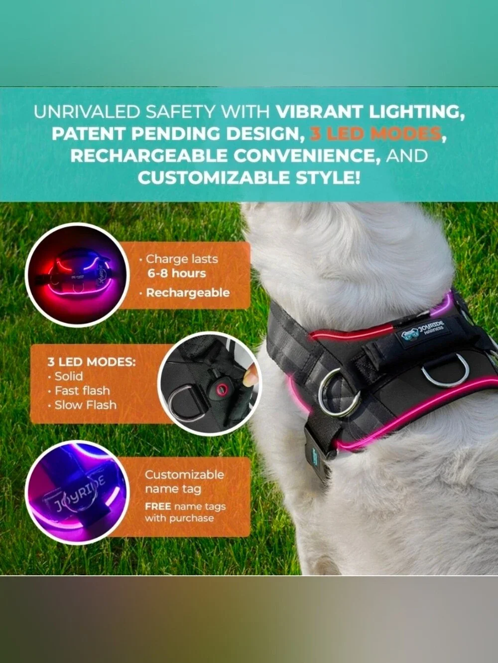Purple LED Dog Harness with Reflective Straps